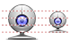 Webcam icons