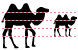 Camel icons