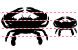 Crab icons