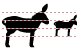 Donkey icons