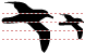 Seagull icons