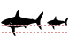 Shark icons