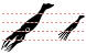 Squid icons