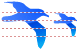 Seagull icons