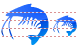 Shrimp icons