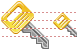 Access key icons