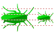 Cockroach icons
