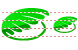 Mussel icons