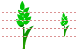 Wheet icons