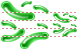 Bacteria