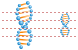DNA helix