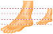 Foot