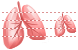 Lungs icons