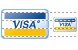 Visa ICO