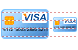 Visa chip card ICO