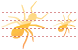 Ant .ico