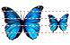 Butterfly icons