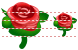 Rose icons