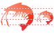 Shrimp icons