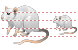 Rat icons