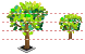 Tree icons