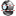 Webcam icon