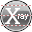 X-ray icon