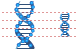 DNA